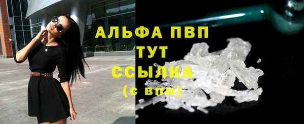стаф Осинники